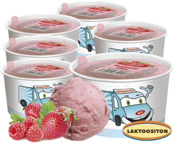 Metsämarjapikari 6 kpl - LAKTOOSITON, MAIDOTON