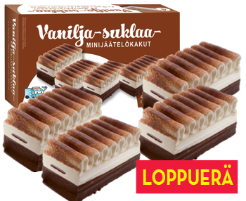 Vanilja-suklaa-minijäätelökakut 4 kpl - LOPPUERÄ